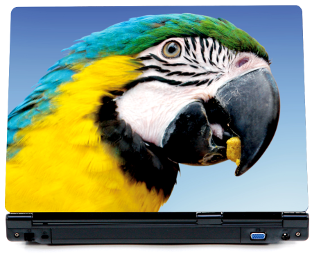 Papuga Ara - nalepka na laptopika - kod ED558